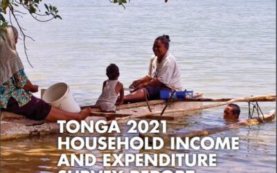 Tonga 2021 HIES report