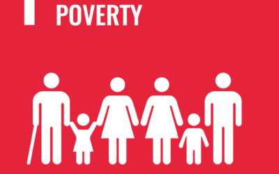 Progress towards the reduction of Poverty in Tonga 2021 report released.