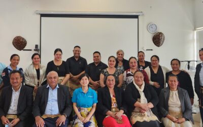 Tonga MICS-EAGLE workshop – Validation and Next Steps